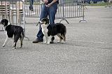 Agen_2008_125