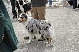 Agen_2008_130