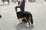 Agen_2008_133