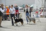Agen_2008_136