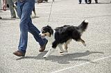 Agen_2008_141