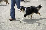 Agen_2008_142