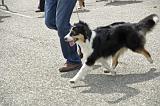 Agen_2008_143
