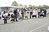 Agen_2008_144