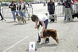 Agen_2008_145