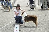 Agen_2008_149