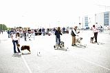 Agen_2008_159