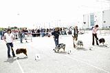 Agen_2008_160