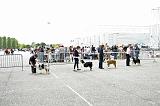 Agen_2008_162