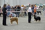 Agen_2008_168