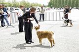Agen_2008_172