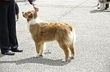 Agen_2008_173