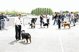 Agen_2008_178