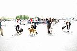 Agen_2008_179