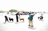Agen_2008_180