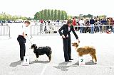 Agen_2008_182