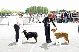 Agen_2008_183