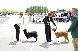 Agen_2008_184