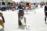 Agen_2008_189