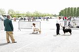 Agen_2008_193