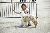 Agen_2008_197