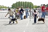 Agen_2008_203
