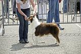 Agen_2008_205
