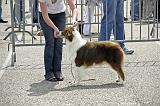Agen_2008_206