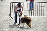 Agen_2008_210