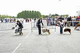 Agen_2008_214