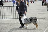 Agen_2008_215