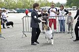 Agen_2008_221