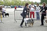 Agen_2008_222