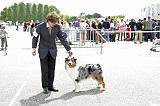 Agen_2008_224