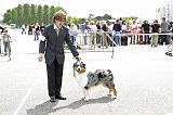 Agen_2008_225