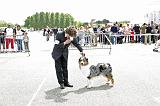 Agen_2008_227