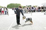 Agen_2008_228