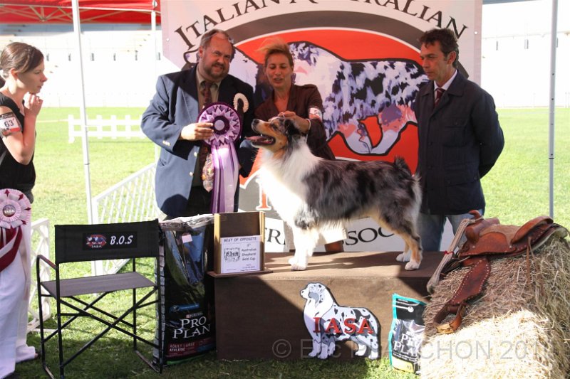 IMG_2517.JPG