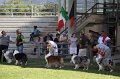 IMG_2318