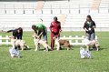 IMG_2184