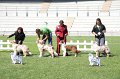 IMG_2185