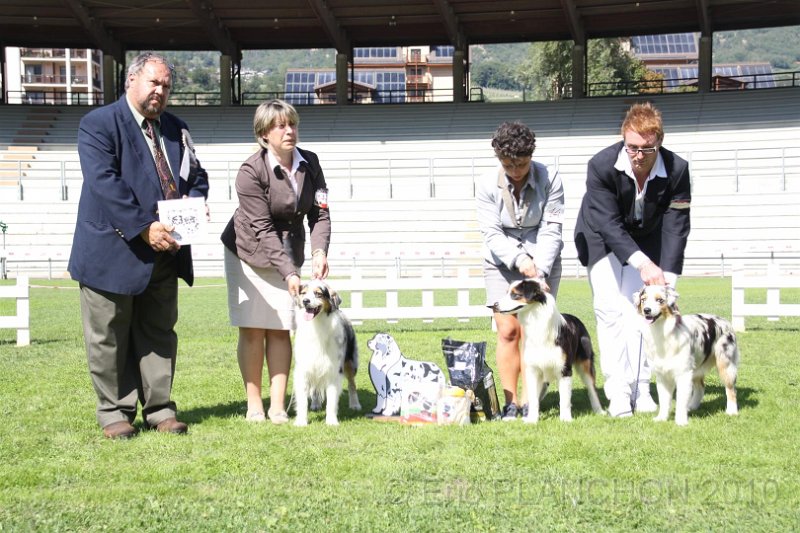 IMG_2304.JPG