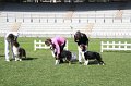 IMG_2229