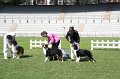 IMG_2230