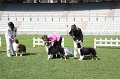IMG_2232