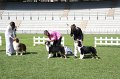 IMG_2233