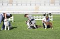 IMG_2239