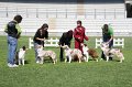 IMG_2243