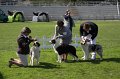 IMG_2247