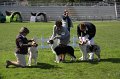 IMG_2248